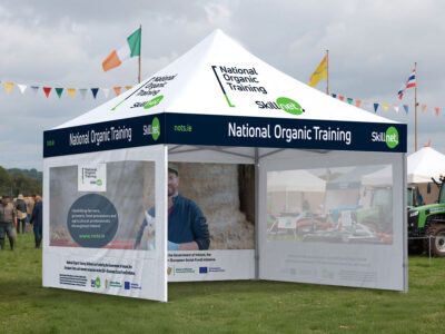 NOTS MOCKUP xgazebo